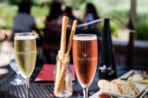 2026年世界杯,哪国将 host 未来足球的展望与影响世界杯2026是哪个国家举办