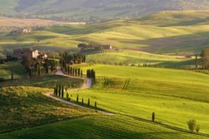 2026年世界杯举办时间,一场全球足球盛事的期待2026年世界杯举办时间